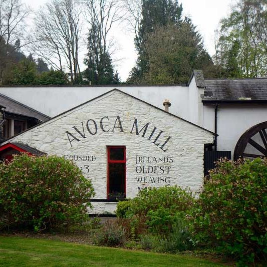 avoca
